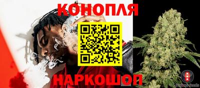 дмт Кунгур