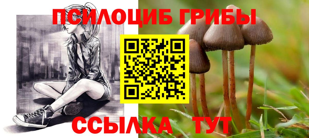 Усть-Джегута  Галлюциногенные грибы мицелий  Вход с VPN 